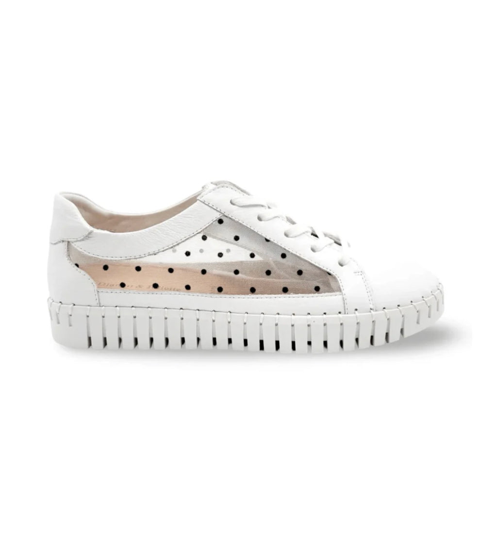 Django and Juliette White Sneaker with polka dot mesh