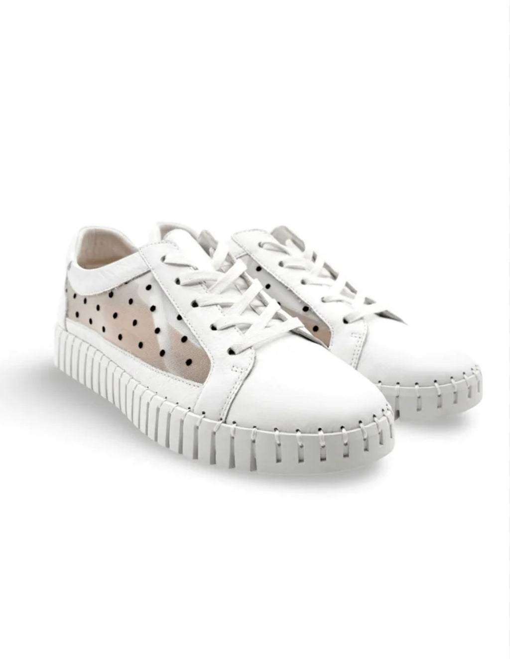 Django and Juliette White Sneaker with polka dot mesh