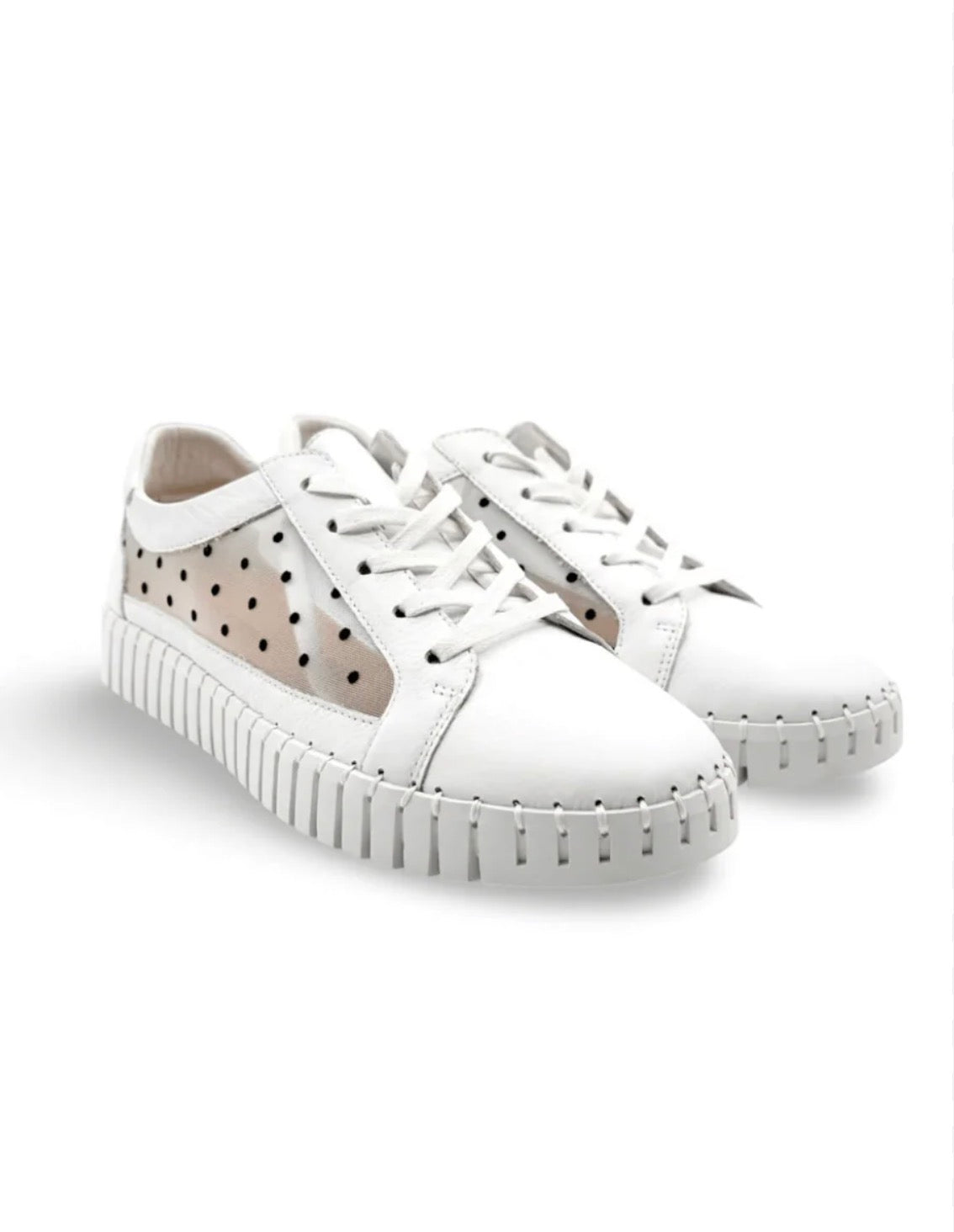 Django and Juliette White Sneaker with polka dot mesh